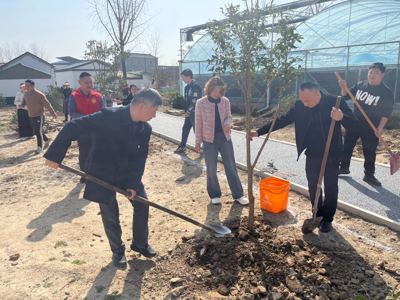 华信建投集团开展植树节支部联建主题党日活动